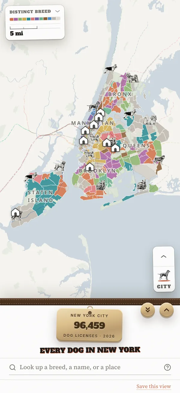Every Dog in New York on a phone